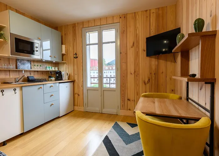 Appartement Le Du Sanctuaire Vue Sur Le Gave De Pau Lourdes